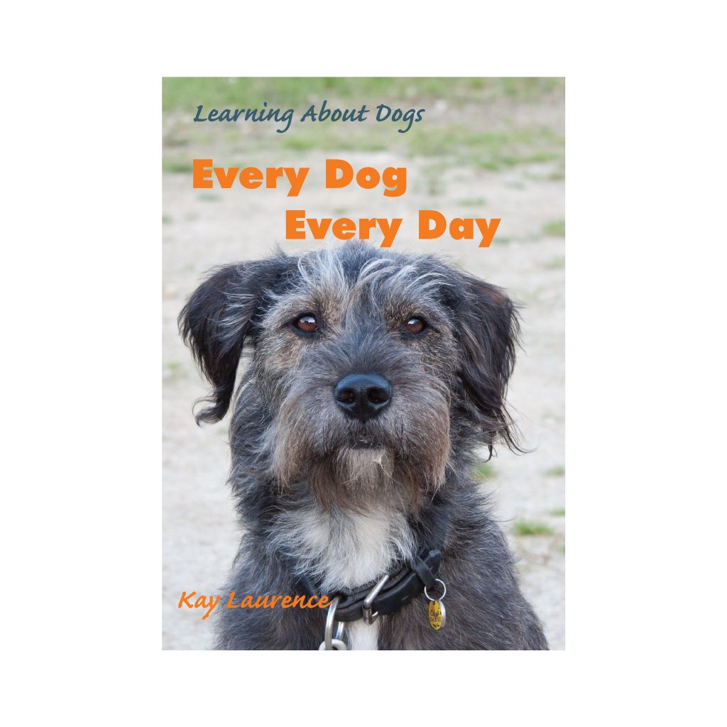 Pegged Meaning Medical at Gary Blalock blog