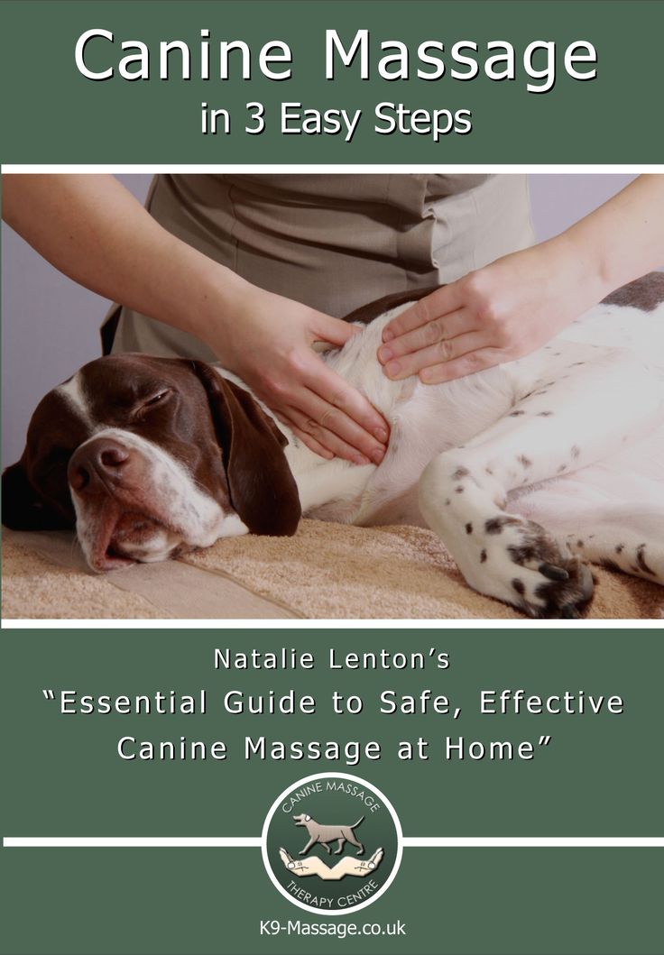 what is canine massage therapy